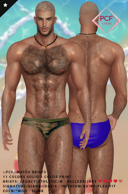 ::PCF:: MATEO BRIEFS.