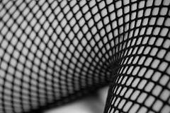 Fishnets