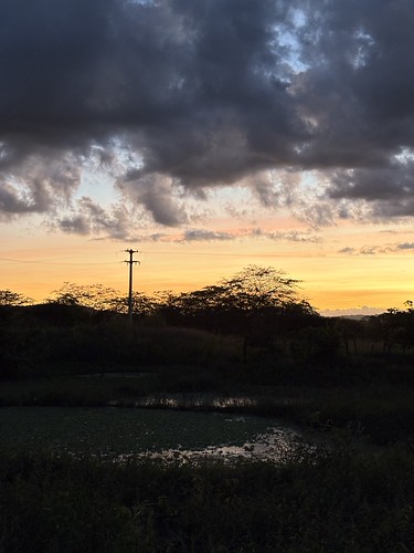 Doesn’t matter where I am, sunsets always feel like home 🏠 by dolorescoelho14,