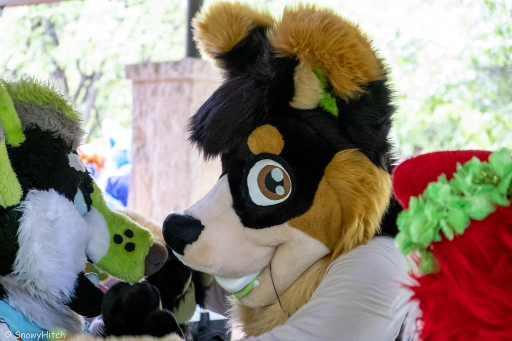Furtography by SnowyHitch