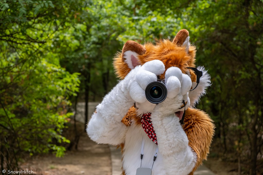 Furtography by SnowyHitch