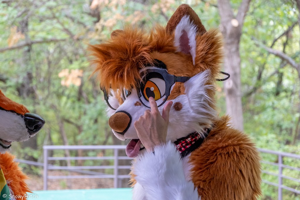 Furtography by SnowyHitch