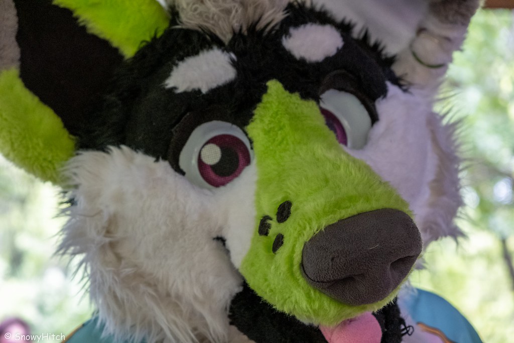 Furtography by SnowyHitch