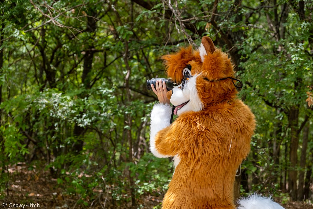 Furtography by SnowyHitch