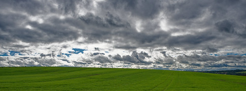 Grass and clouds