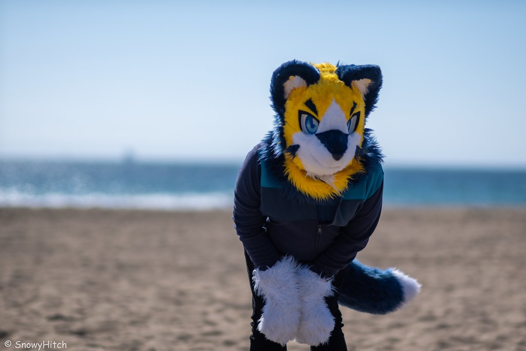 Furtography by SnowyHitch