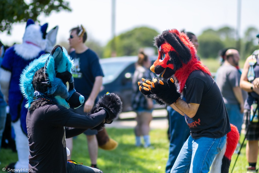 Furtography by SnowyHitch