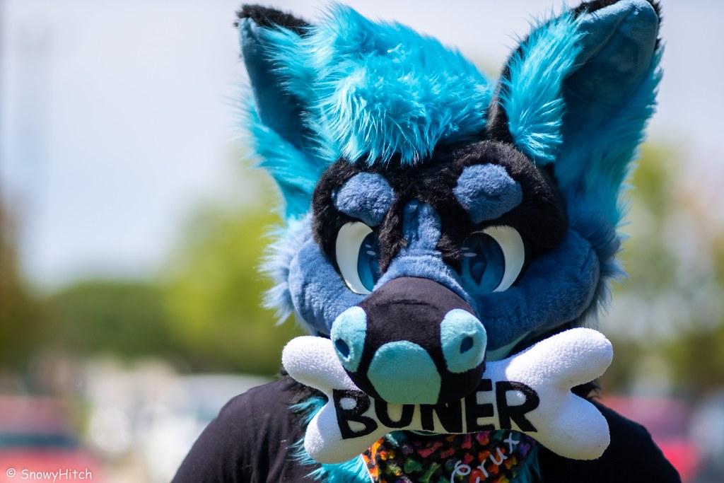 Furtography by SnowyHitch