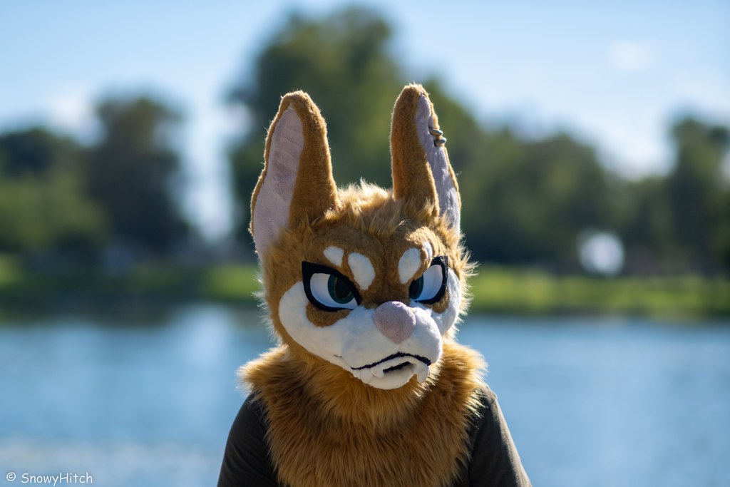 Furtography by SnowyHitch
