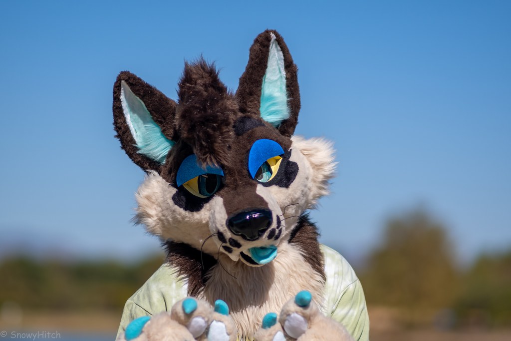 Furtography by SnowyHitch