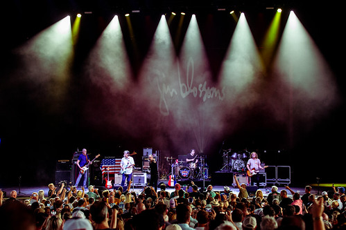 Gin Blossoms