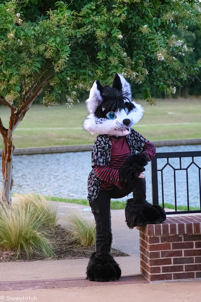 Furtography by SnowyHitch