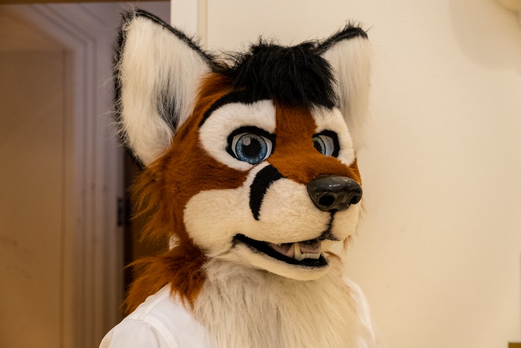 Furtography by SnowyHitch