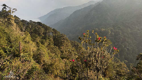 Sengor, Bhutan by nik.borrow, 23rd April 2025bhutan sengor landscape
