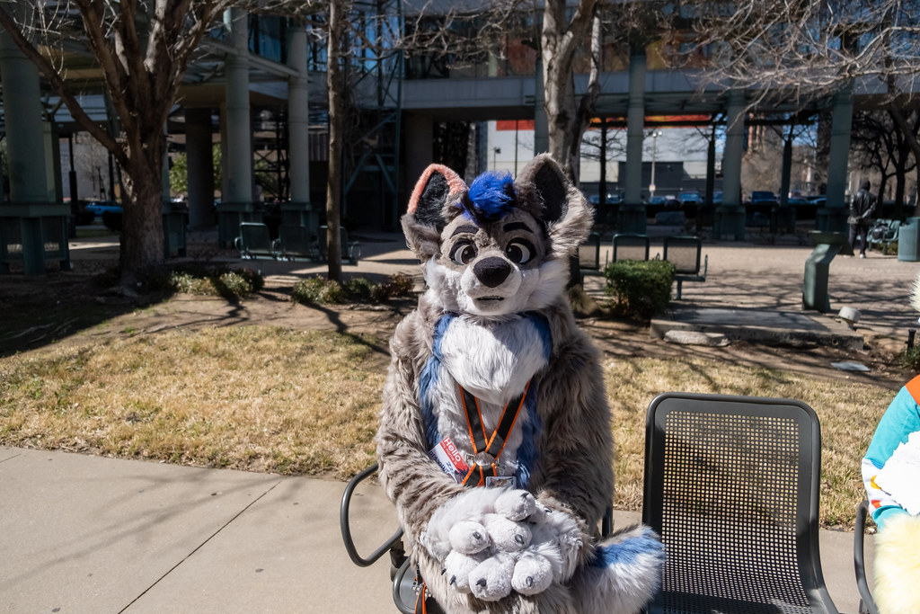 Furtography by SnowyHitch