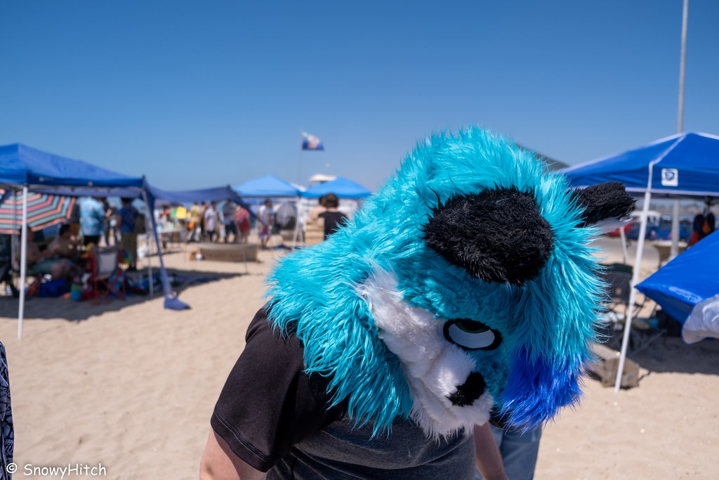 Furtography by SnowyHitch