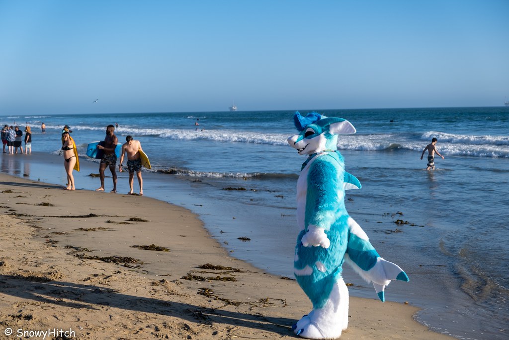 Furtography by SnowyHitch