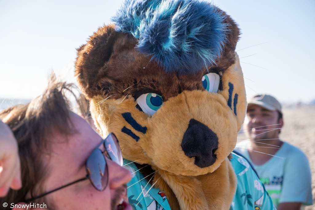 Furtography by SnowyHitch
