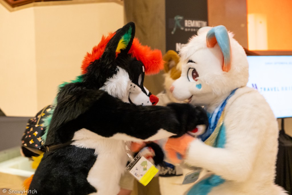 Furtography by SnowyHitch