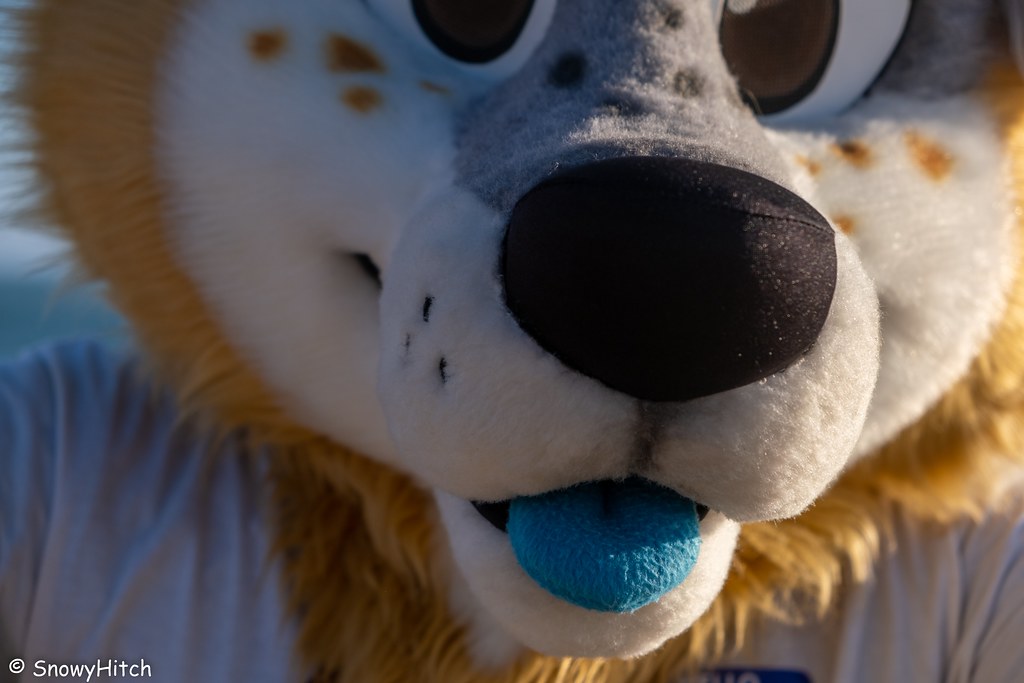 Furtography by SnowyHitch