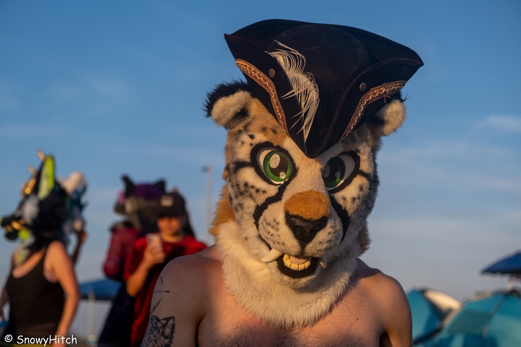 Furtography by SnowyHitch