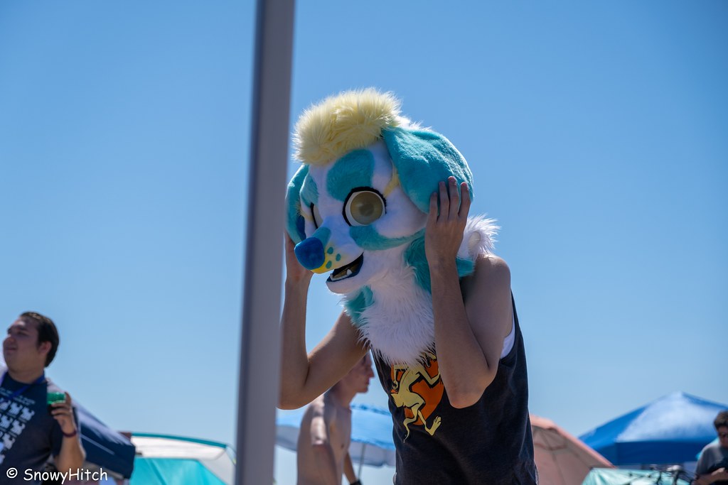 Furtography by SnowyHitch