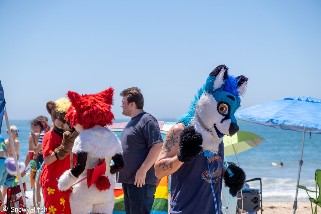 Furtography by SnowyHitch