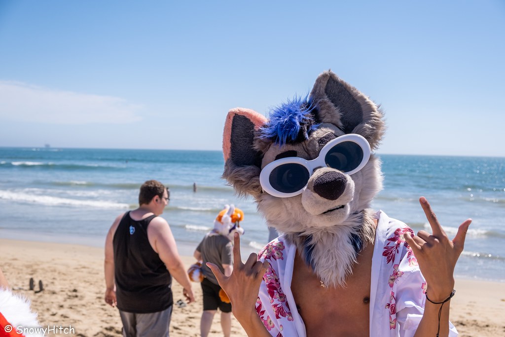 Furtography by SnowyHitch