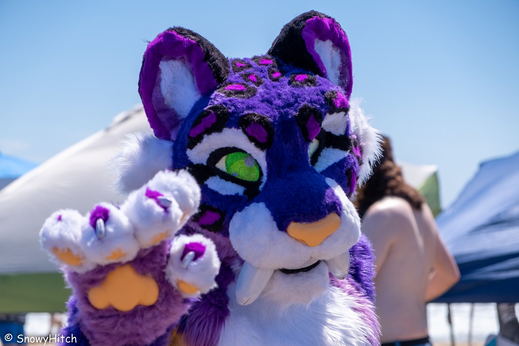 Furtography by SnowyHitch