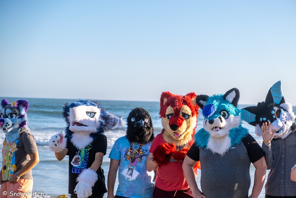 Furtography by SnowyHitch