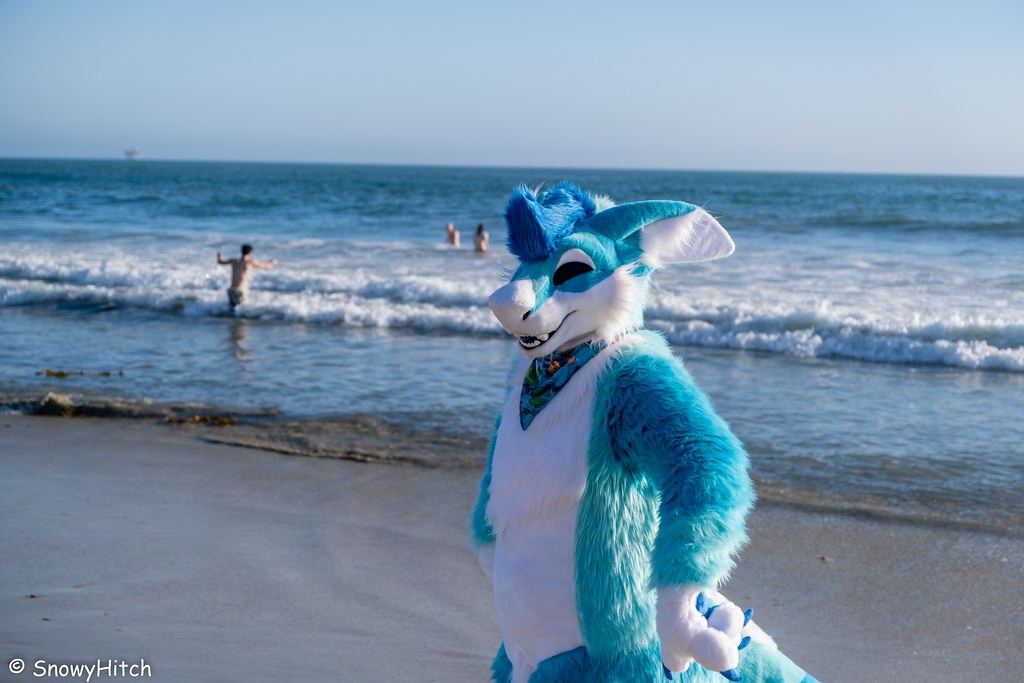 Furtography by SnowyHitch