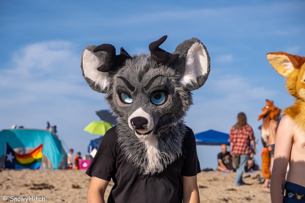 Furtography by SnowyHitch