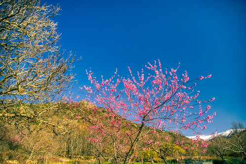 Va llegando la primavera..... by Carlos M. M., flickrsbest ávila rural gredos castillayleón hdr navamediana sony son