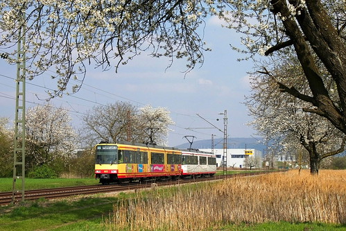20100410-AVG805 | by nicolas.hoffmann1991