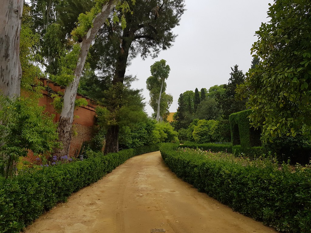 20180711_105820