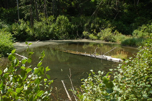 High lake