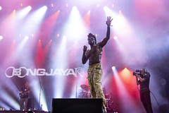 Obongjayar @ Lowlands 2025 (Nadia Denys)