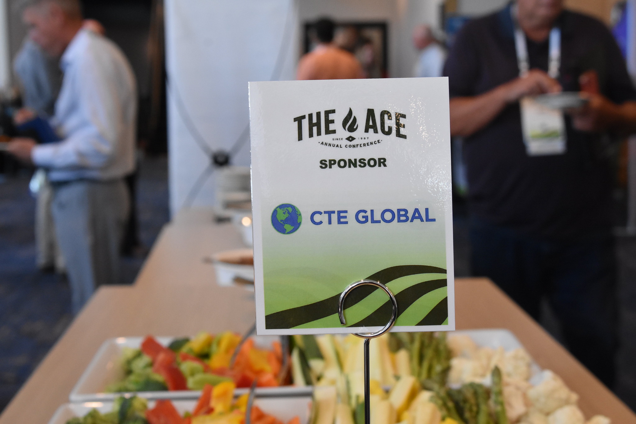 2025 ACE Conference