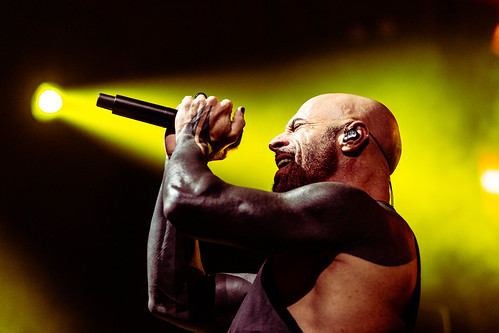 Daughtry