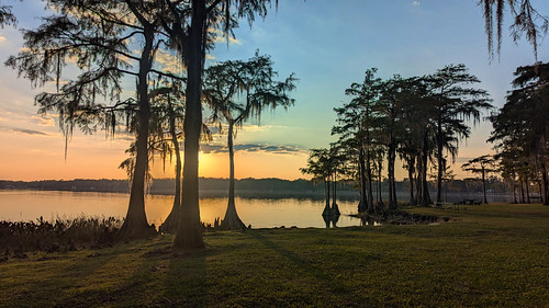 Florala, Alabama by fisherbray, Lake Jackson and Bald Cypress (Taxodium distichum) just before sunset at Florala State Park in Flora