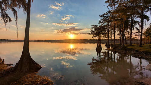 Florala, Alabama by fisherbray, Lake Jackson and Bald Cypress (Taxodium distichum) just before sunset at Florala State Park in Flora