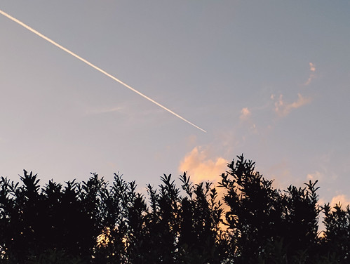 When I was younger, I would make a wish on these trails by Petals-n-pollen, sunset sky