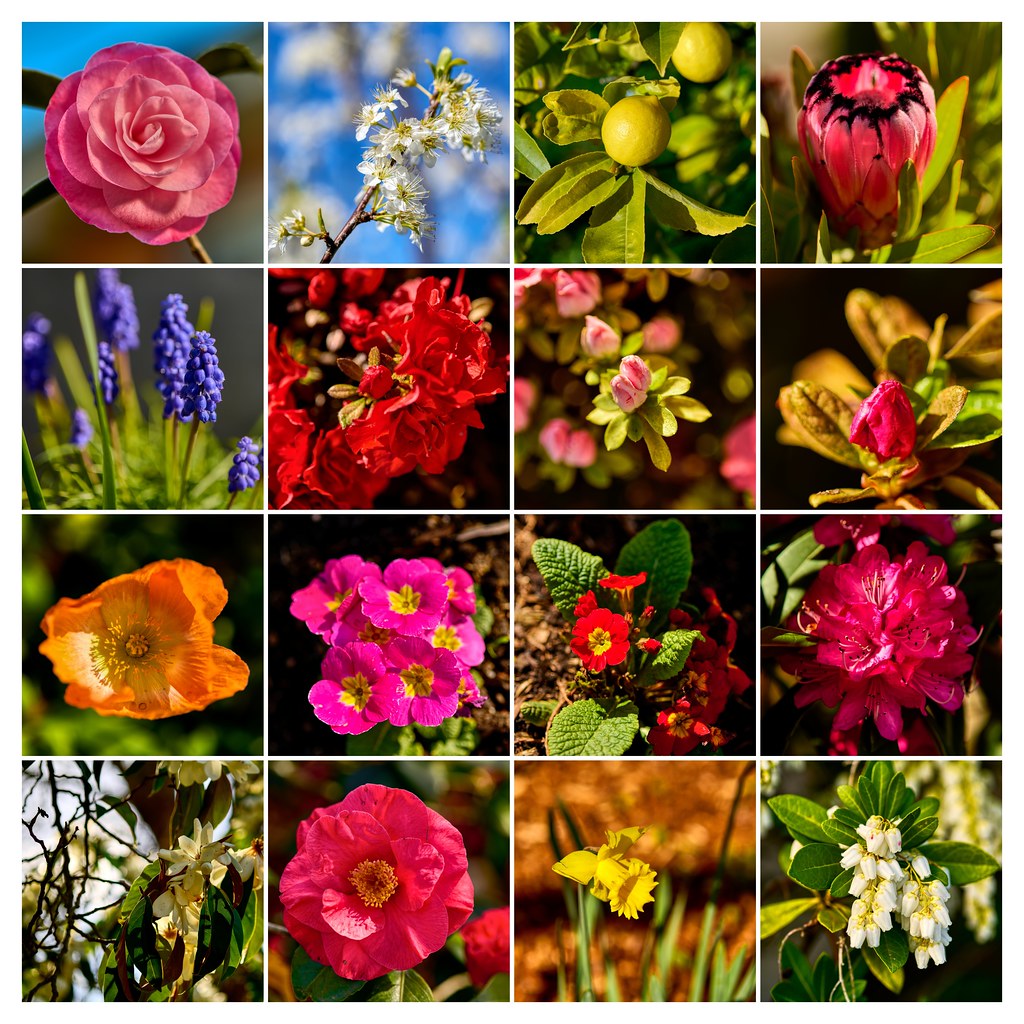 September 2 Spring Impressions - First Day of Spring | September 1 marks the of… | Flickr
