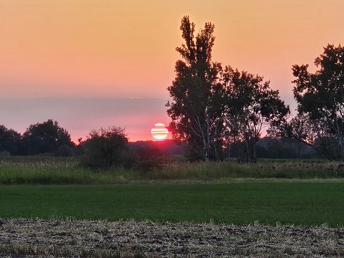 Rural sunset by aresa3, nature tree sky outdoor sunset