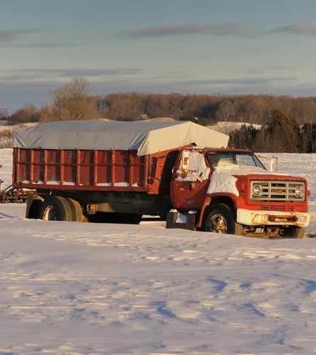 GMC 7000 grain truck, c1982, Caledon, Ontario.. by edk7, <b>Nikon D300 + Nikon AF-S Nikkor 70-200mm 1:2.8 G II ED SWM VR ED IF
<a href="https://en.wikipedia.