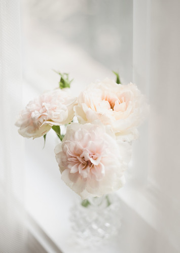 Miniature roses | by Beverly LC