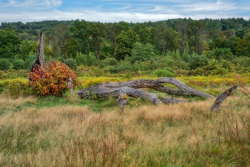 Remains | by JMS2