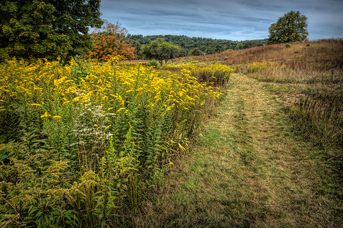 Autumn Colors | by JMS2