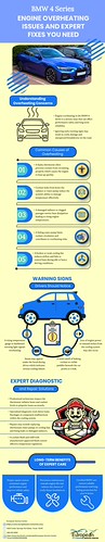 What to Include in a Stakeholder Engagement Plan Infographic