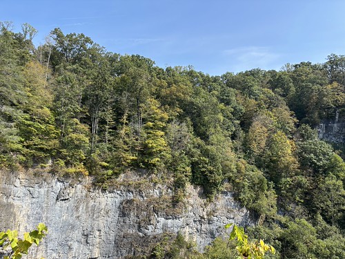 NT 9-22-25 Lovers Leap by vastateparksstaff, View of a cliff face lined with trees taken from the first overlook on the Lovers' Leap Trail.
<a hr